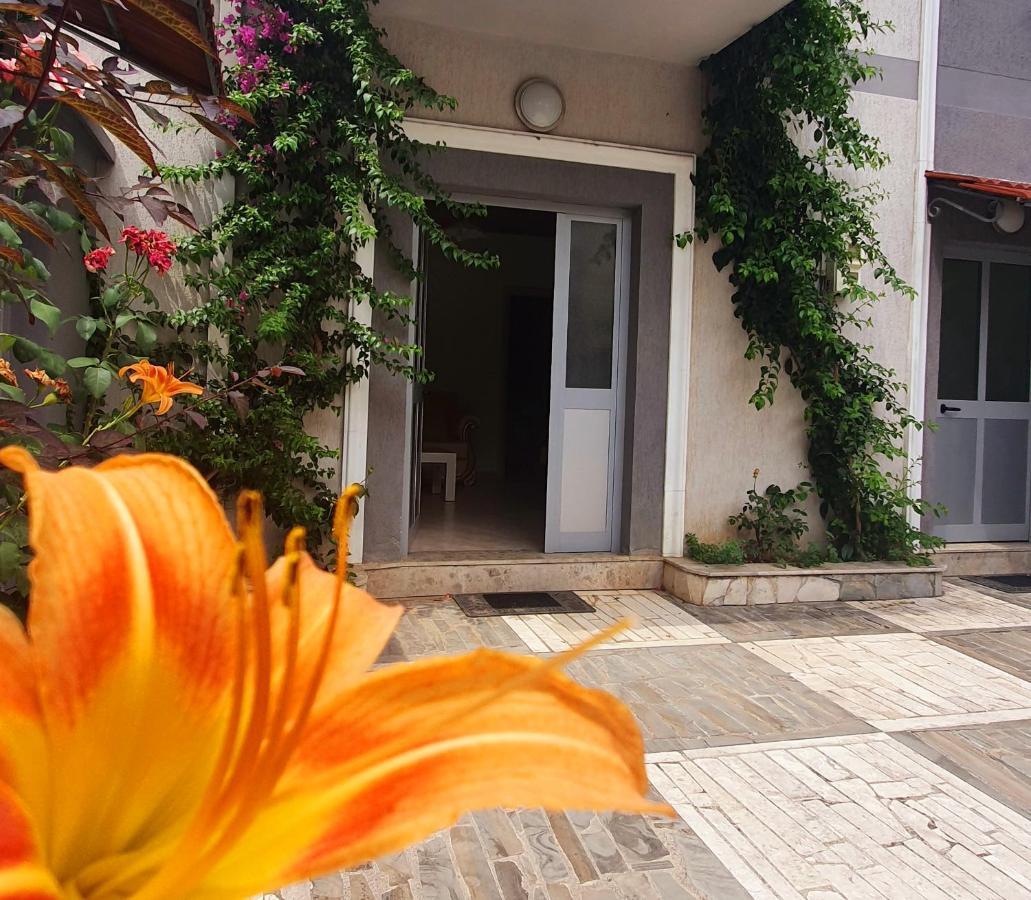 A Cheerful Villa With Free Parking Space Tirana Extérieur photo
