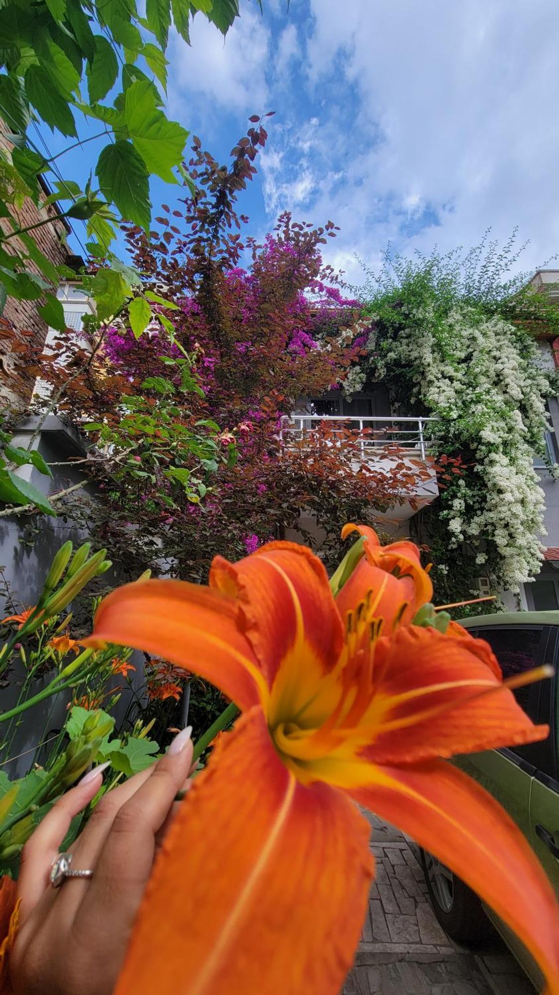 A Cheerful Villa With Free Parking Space Tirana Chambre photo